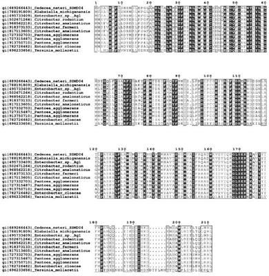 Cloning and Characterization of the Autoinducer Synthase Gene from Lipid-Degrading Bacterium Cedecea neteri